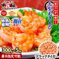 【福井県敦賀市】《最短当日発送可能》楽天ふるさと納税エビ1位！食べ応え抜群...