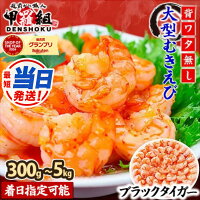 【ふるさと納税】【最短当日発送 着日指定可能】楽天SOY2024受賞 甲羅...