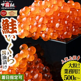 【ふるさと納税】復活！250gあたり10,250円 大粒 鮭いくら 醤油漬け 500g / 1kg 《寄附殺到！現在3月発送受付中》【甲羅組 いくら さけいくら 鮭イクラ 魚卵 海鮮 海鮮丼 イクラ丼 いくら丼 寿司 すし 人気 お中元 お歳暮 ギフト 贈答】