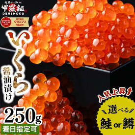 【ふるさと納税】いくら醤油漬け 250g 選べる 大粒 鮭いくら / 濃厚 鱒いくら《 最短3営業日以内発送 着日指定可能 》 高評価 新鮮 人気 海鮮 魚卵 鮭 鱒 いくら 醤油漬 お中元 お歳暮 ギフト 贈り物