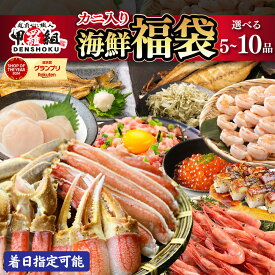 【ふるさと納税】《 着日指定可能 最短3営業日以内発送 》敦賀の豪華 海鮮福袋 5〜10種 【甲羅組 生ズワイ蟹 むきえび ホタテ 甘エビ とろろ昆布 いくら醤油漬け さば 開き干し 縞ほっけ 開き 焼さば寿司 ねぎとろ 海鮮 / カニ 蟹 えび エビ ホッケ 人気】