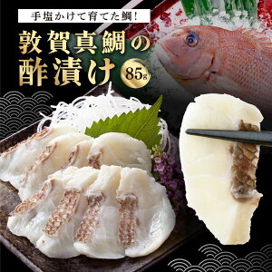 yӂ邳Ɣ[Łz։^  |Ђ 85gyڂ̗ ^  ^C hg i i ̍ CN Ⓚ  Ε Mtg 蕨 hV̓z