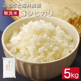 【ふるさと納税】令和7年度産 無洗米 5kg 福井県産 コシヒカリ 発祥の地で心を込めて栽培されたコシヒカリ 甘くて艶があり、冷えても美味しい【無地のし対応可】10月以降順次発送【米 コメ こめ こしひかり ブランド 令和7年産 お中元 お歳暮 ギフト 贈り物 プレゼント】