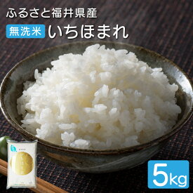 【ふるさと納税】令和7年度産 無洗米 ふるさと福井県産 いちほまれ 精米5kg 【無地のし対応可】10月以降発送