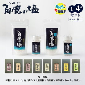 【ふるさと納税】★SNS で 話題沸騰★ 呪われていない 特別な塩 「角鹿の塩」 単品〜4点セット（塩・粗塩・味付き塩）[選べる種類・内容】【敦賀 塩 しお 粗塩 天然塩 天日塩 釜炊き 調味料 日本書紀 人気 話題 急上昇 大バズり お中元 お歳暮 ギフト 贈り物 NEW 新規】