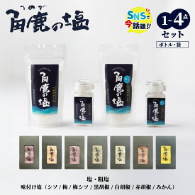 【ふるさと納税】★SNS で 話題沸騰★ 呪われていない 特別な塩 「角鹿の塩」 単品〜4点セット（塩・粗塩・味付き塩）[選べる種類・内容】【敦賀 塩 しお 粗塩 天然塩 天日塩 釜炊き 調味料 日本書紀 人気 話題 急上昇 大バズり お中元 お歳暮 ギフト 贈り物 NEW 新規】