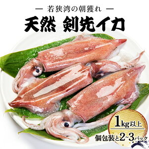 yӂ邳Ɣ[Łzዷp l CJiⓀj1kgȏ  傫IׂZbgF / ~bNXij/  y Q\  Ԃ }CJ CN ^pbN VN Ⓚ 