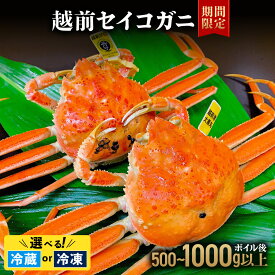 【ふるさと納税】【選べる容量】越前セイコガニ 　ボイル後500g以上 or 1,000g以上 (ボイル前600g〜1,150g前後)冷蔵または冷凍 お届け時期：11月10日以降順次発送【マイマルシェ 敦賀 越前蟹 カニ 蟹 セイコガニ 海鮮 かに鍋 かにしゃぶ NEW 新規】