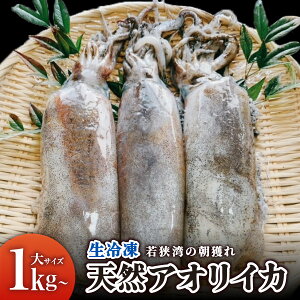 yӂ邳Ɣ[ŁzyIׂTCYzዷp̒lEVRAICJiⓀjTCY 1kgȏiA2`4pbNj or ܂TCY 800gȏi2`5tA2`4pbNjy}C}VF