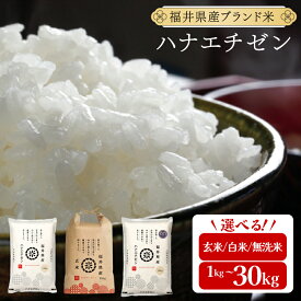 【ふるさと納税】福井県産 ハナエチゼン 精米 / 無洗米 / 玄米 ＜令和7年産 新米 先行予約 あり＞ [ 1kg / 5kg / 10kg / 30kg / 定期便 ]【米 コメ お米 精米 白米 無洗米 玄米 ご飯 飯 華越前 ブランド米 国産 お中元 お歳暮 ギフト 贈り物 贈答 NEW 新規】