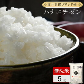 【ふるさと納税】福井県産 ハナエチゼン 精米 / 無洗米 / 玄米 / 食べ比べセット ＜令和7年産 / 数量限定 ＞ [ 1kg / 5kg / 10kg / 20kg / 定期便 3〜12回 ]【米 コメ お米 白米 無洗米 玄米 ご飯 飯 華越前 ブランド米 国産 お中元 お歳暮 ギフト 贈り物 贈答 NEW 新規】