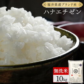 【ふるさと納税】福井県産 ハナエチゼン 精米 / 無洗米 / 玄米 ＜令和7年産 新米 先行予約 / 数量限定 ＞ [ 1kg / 5kg / 10kg / 30kg / 定期便 ]【米 コメ お米 精米 白米 無洗米 玄米 ご飯 飯 華越前 ブランド米 国産 お中元 お歳暮 ギフト 贈り物 贈答 NEW 新規】