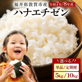 【ふるさと納税】【令和7年産 令和8年産】『 ハナエチゼン 』精米 5kg / 10kg 福井県敦賀市産 ＜選べる 単品 定期便＞【新米 米 コメ お米 白米 ご飯 飯 華越前 ブランド米 国産 北陸 お中元 お歳暮 ギフト 贈り物 贈答】