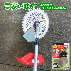 yӂ邳Ɣ[Łzy_Ƃ̖z@̃Ab^`g(ti) [099-a002]y@ ti A^b`g NEW VKz