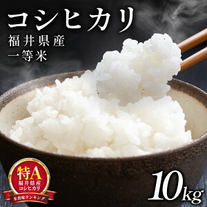 yӂ邳Ɣ[Łzߘa7NY V s\ / ʌ  䌧Y RVqJ ꓙ 5kg ܂10kg 10{ȍ~\聄y R  uh   Ђ Y k