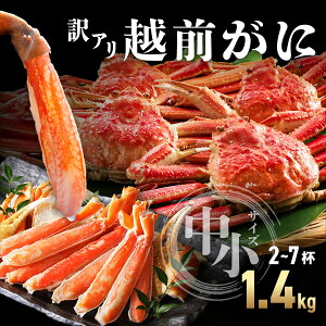 【ふるさと納税】【数量限定・期間限定・先行予約】【訳アリ】越前がに 中小サイズ 700g〜1.4kg【マイマルシェ 敦賀 越前蟹 カニ 蟹 ズワイガニ ズワイ蟹 海鮮 かに鍋 かにしゃぶ 訳あり お中