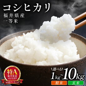 【ふるさと納税】＜令和7年産 / 数量限定 ＞ 福井県産 コシヒカリ 一等米精米または玄米 1〜10kg ＜10月中旬以降順次発送予定＞【米 コメ お米 ブランド米 白米 精米 玄米 こしひかり 国産 北陸 5kg 10kg ご飯 ごはん 小分け 家庭用 ふるさと納税米 NEW 新規】