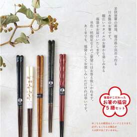 【ふるさと納税】箸屋がこだわったお箸の福袋 5膳入｜日本製 箸 伝統工芸品 日用品 食洗器 木彫り 木 若狭塗 天然 おしゃれ カラフル 新年 新しいお箸 新生活 新生活準備 5色 塗り箸 抗菌 国産 送料無料 [Y-101001] [BFDC001]