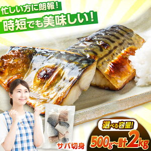 yӂ邳Ɣ[ŁzyʂIׂzTo ؐg 500g`2kg / Ⓚ I  ؂g  䌧 ls   pbN  CN Ă To CN C̍K ZbgyzsnFkCE