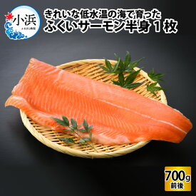 【ふるさと納税】国産 ふくいサーモン 半身 1枚 700g ／ 海鮮 魚介 魚 小分け 真空包装 冷凍 生食可 刺し身 ムニエル サケ 鮭 生食可 700g 高級 養殖 地物 ブランド 養殖魚 半身 サラダ サーモン丼 カルパッチョ サラダ 加熱 脂 ギフト 送料無料 [A-001018]