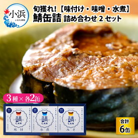 【ふるさと納税】旬獲れ 鯖缶詰 3ケ詰め合わせ(味付・味噌・水煮) × 2セット｜ サバ缶 キャンプ アウトドア おつまみ 保存食 常温 プレゼント 贈り物 [A-001052]