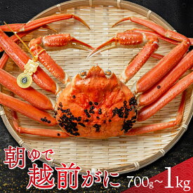 【ふるさと納税】【年内配送】【容量が選べる】朝ゆで越前がに1杯（700g / 800g / 1kg）｜ かに 蟹 カニ ズワイガニ オス 雄 1杯 ずわいがに ずわい蟹 国産 福井 送料無料 【配送不可地域：北海道・沖縄・離島】 [BFAA002]