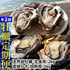 yӂ邳Ɣ[ŁzyցzyN2zዷ̓VR≲yiHpjƎዷluh ዷiMpj2kg×2 v4kgbL JL  ̍ ܂ o[xL[ VN 2L y yz