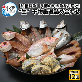 【ふるさと納税】《定期便》全12回 (毎月発送)【加福鮮魚】 季節の旬の魚をお届け！"生"干物厳選詰め合わせ｜ ひもの 醤油干し 味噌漬け　塩干し 一夜干し 海鮮 詰め合わせ 旬 海の幸 セット あじ さば さわら カレイ いわし カマス ふぐ ハタ タイ スズキ ブリ [K-015001]