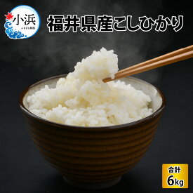 【ふるさと納税】【令和5年産】福井県産こしひかり 3kg × 2袋 計6kg(紙袋入り)/ コシヒカリ 米 精米 [A-017025]