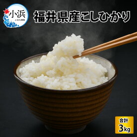 【ふるさと納税】【令和5年産】福井県産こしひかり 3kg(紙袋入り)/ 米 コシヒカリ 精米 [Y-017006]