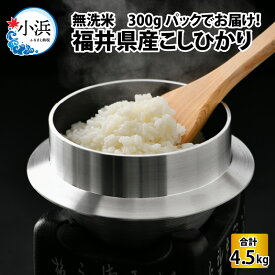 【ふるさと納税】【令和5年産】無洗米 福井県産こしひかり 300g(約2合) × 15パック 計4.5kg/ コシヒカリ 白米 精米 [A-017024]