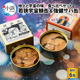 【ふるさと納税】若狭宇宙鯖缶＆強健サバ缶 地上と宇宙の味 食べ比べセット 計6缶 缶詰｜宇宙食 若狭高校 アウトドア おつまみ 保存食 酒の肴 鯖 [A-077003]