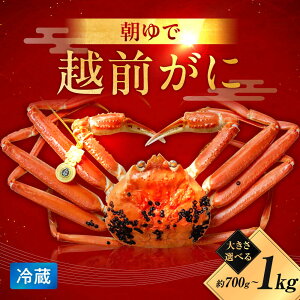 yӂ邳Ɣ[ŁzyNzzyeʂIׂzŉzO1ti700g / 800g / 1kgjb  I Jj YCKj IX Y 1t 킢 킢I Y   yzsnFkC