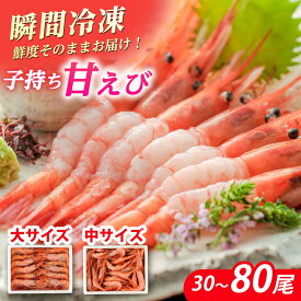 【ふるさと納税】子持ち 甘えび（冷凍・刺身用）500g〜1kg 【最速発送】【容量が選べる】 ｜ 甘エビ 海老 えび エビ 冷凍 アマエビ あまえび 甘海老 生食 刺身 産地直送 国産 人気 送料無料 福井県小浜市 【配送不可地域：北海道・沖縄・離島】 [BFAA048]