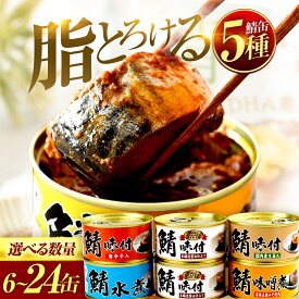 【ふるさと納税】【選べる缶数】【着日指定】鯖缶詰 詰め合わせ A　6缶/12缶/24缶 サバ缶 さば缶 福井県小浜市 キャンプ アウトドア 酒の肴 おつまみ 保存食 災害 ギフト プレゼント 缶詰 缶 水煮 鯖 サバ 缶詰セット [A-003047] [BFAB031]
