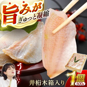 yӂ邳Ɣ[Łz ̍Ђ 500g×1 / ^C  R Ђ  Ђ ґ ӎ ̍ ܂ hg n Yi Yi   Mtg Ⓚ  ̍Ђ