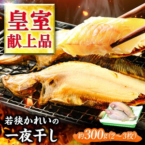 yӂ邳Ɣ[ŁzY ዷꂢ̈銱 300g iMVJC  [B-022037] yzsnFkCEEz [BFAE022]
