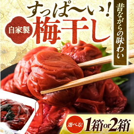 【ふるさと納税】 自家製 梅干し＼選べる容量900g × 1箱or2箱／ うめぼし 梅 うめ 福井県 小浜市 / 今富食料品店 [BFAN004][BFAN003]