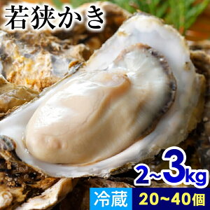 yӂ邳Ɣ[Łz ys\/11{菇zyԌzዷluh ዷiMpj2kg`3kgi20`40j bL JL  ̍  y ܂ o[xL[ VN 