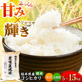 【ふるさと納税】【令和7年産】福井県産こしひかり 精米 5kg（ビニール袋）＼選べる単品・定期便回数／ お米 米 白米 こめコシヒカリ 小浜市 / シマダ農園[BFAV001 BFAV009 BFAV010]