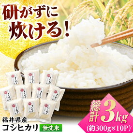 【ふるさと納税】【令和7年産】無洗米 福井県産こしひかり 300g(約2合) × 10パック 計3kg/ コシヒカリ 白米 精米 小浜市 / シマダ農園 [BFAV003]