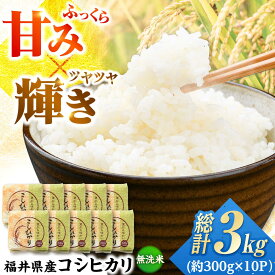 【ふるさと納税】【令和7年産】真空パック 福井県産こしひかり 300g(約2合) × 10パック 計3kg / 長期保存 コシヒカリ 白米 精米 小浜市 / シマダ農園 [BFAV004]