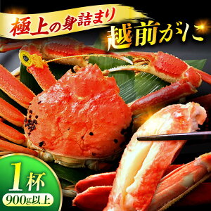 yӂ邳Ɣ[Łzuዷl`Ynv zO (YCKj) {C 1t / I  Jj ls / NyzsnFkCEEz [BFBC004]