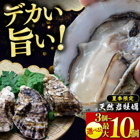 【ふるさと納税】【先行予約/2027年6月下旬より順次発送】若狭湾 生食用 天然岩牡蠣 ＼選べる容量：大 3・6・10個／（軍手、牡蠣ナイフ付き） 小浜市 / 加福鮮魚【配送不可地域：北海道・沖縄・離島】 [BFBC008] [BFBC009] [BFBC010]