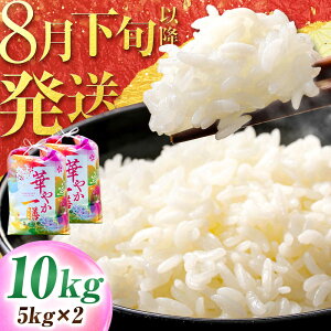 yӂ邳Ɣ[Łzy s\ /8{ȍ~zzyߘa7NxYzy_ƒz niG`[ 5kg×2܁@   ls / ik_Y[BFBD010]