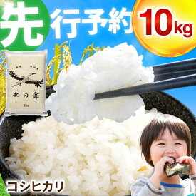【ふるさと納税】【 先行予約 /11月以降発送】 【令和8年産】 特別栽培米 福井県産 コシヒカリ 10kg お米 白米 小浜市 / 今富の宝 [BFCI005]