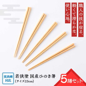 【ふるさと納税】若狭塗箸 【食洗機対応】国産ひのき箸 5膳セット 箸 お箸 新生活 新生活準備 新しいお箸 新年 若狭塗 5色 塗り箸 抗菌 日本製 国産 滑らない 滑り止め おしゃれ シンプル 木製 記念品 送料無料 持ちやすい 5本 ひのき [Y-089003] [BFCL001]