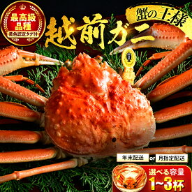 【ふるさと納税】【先行予約/11月7日より順次発送】【黄色 タグ付き 】越前がに 水揚げ 冷蔵 ボイル 600g-1kg 冷蔵 ズワイガニ 選べる かに味噌 ギフト 福井県 / カニ かに 蟹 ずわい 冬の味覚 / 小浜市 / まるほ商店 【配送不可地域：北海道・沖縄・離島】 [BFCS018～047]