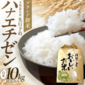 【ふるさと納税】【令和8年産 新米】 【先行予約 / 8月下旬より順次発送 】 ハナエチゼン 白米 10kg / 米 お米 精米 小浜市 / 北川博司 [BFDG004]