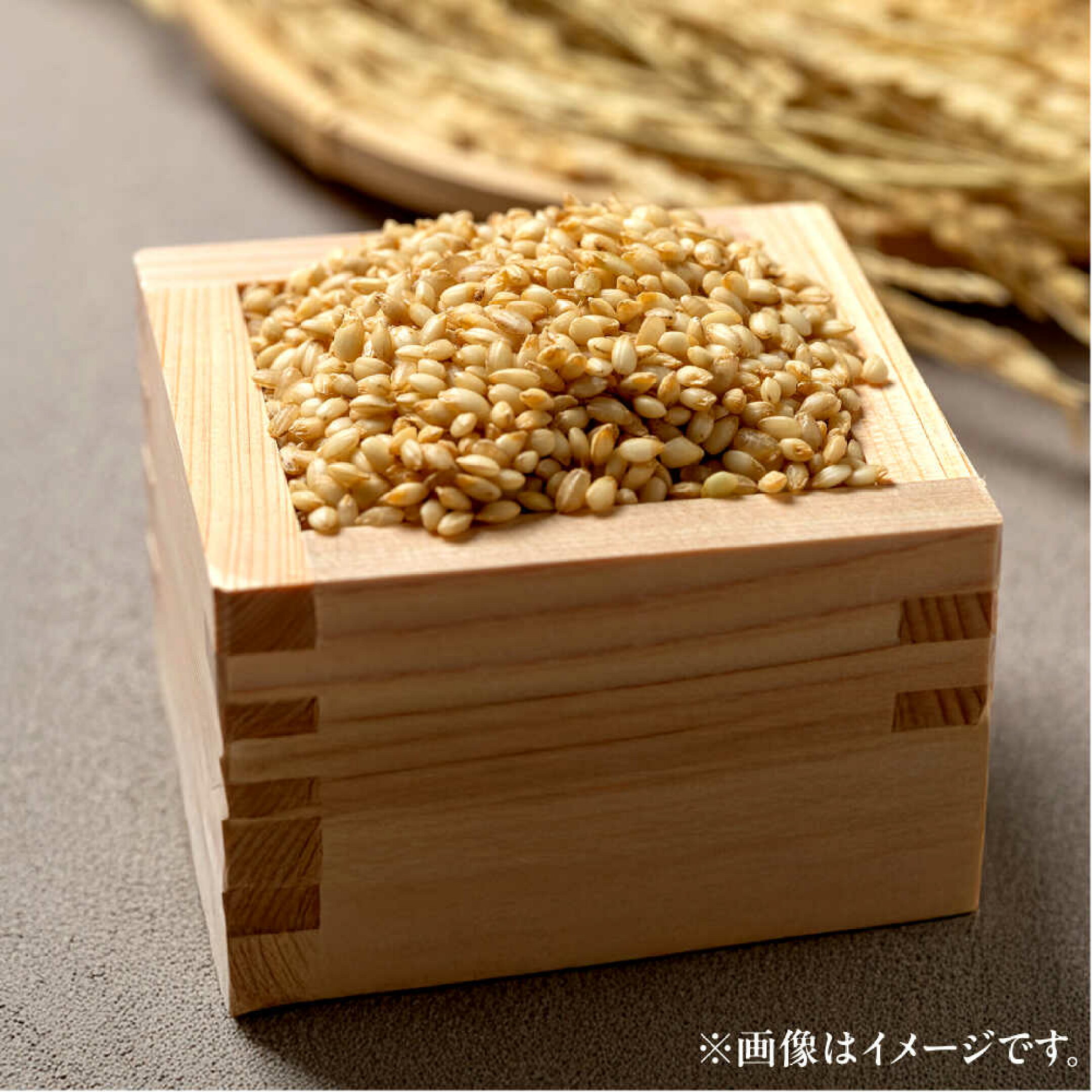【 新米】【令和7年産】 福井県産 ラクト農法 コシヒカリ